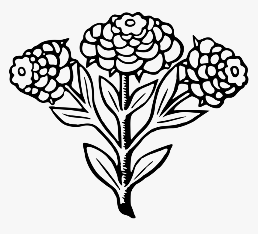 Line Art,plant,flora - Illustration, HD Png Download