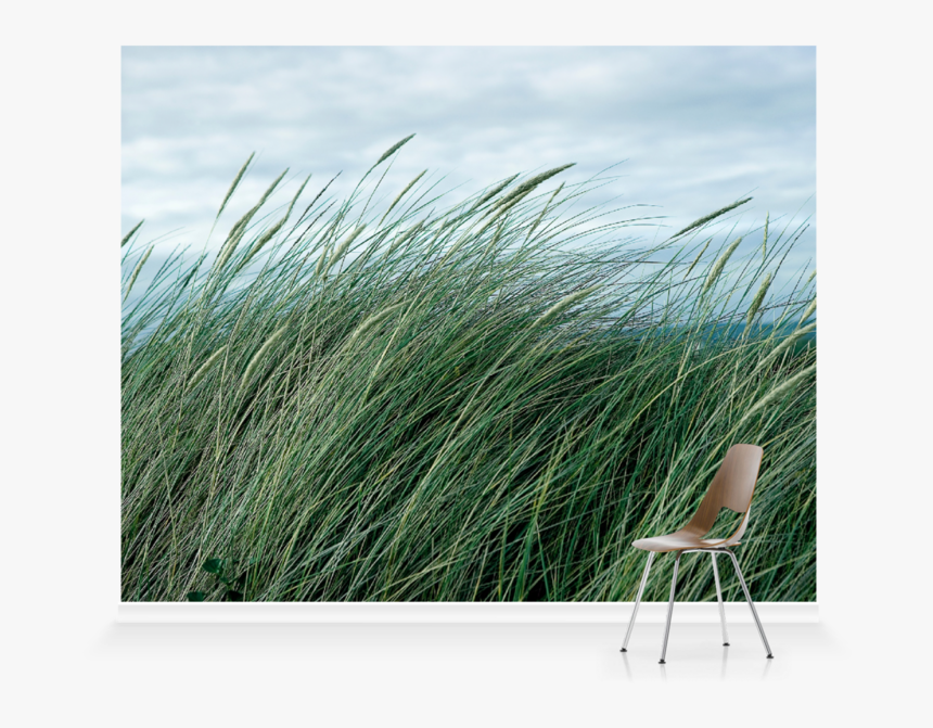 Grass, HD Png Download