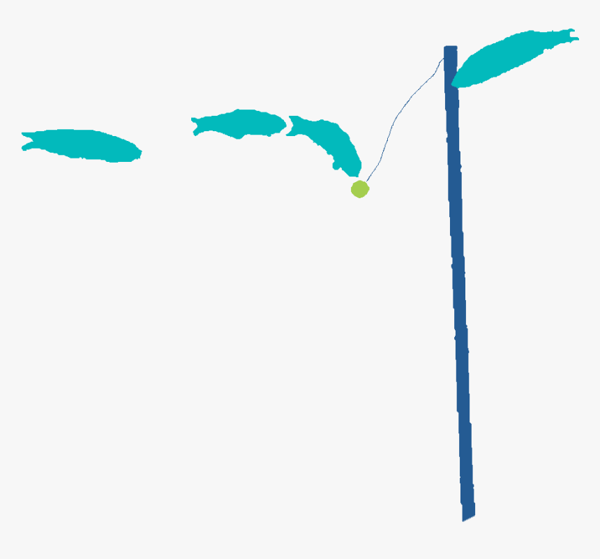 Seagrass Cover And Composition - Illustration, HD Png Download