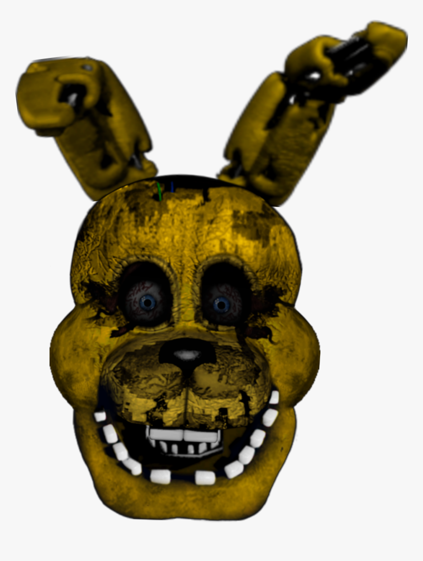 Hare, HD Png Download