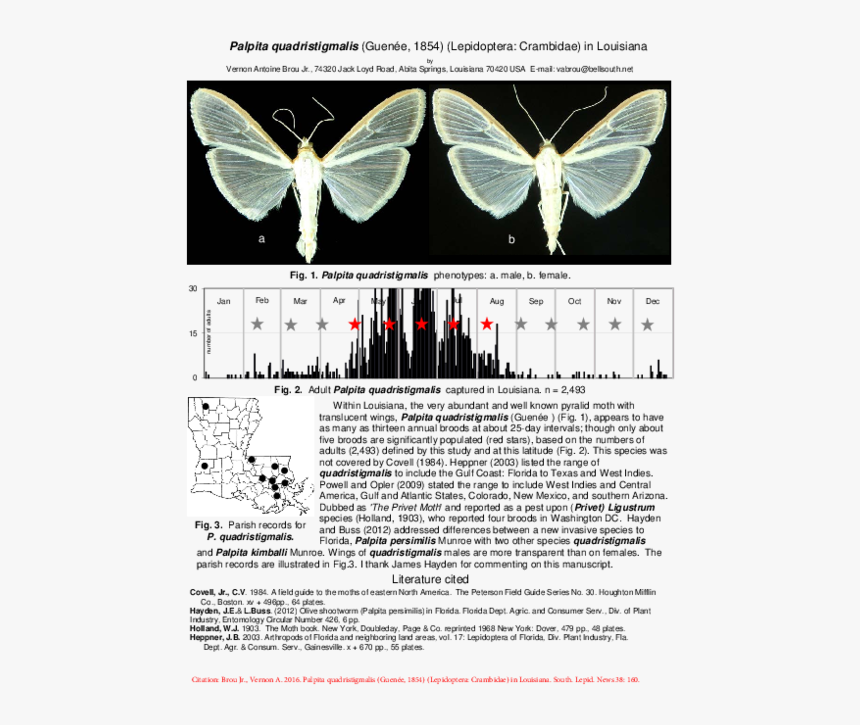 Swallowtail Butterfly, HD Png Download