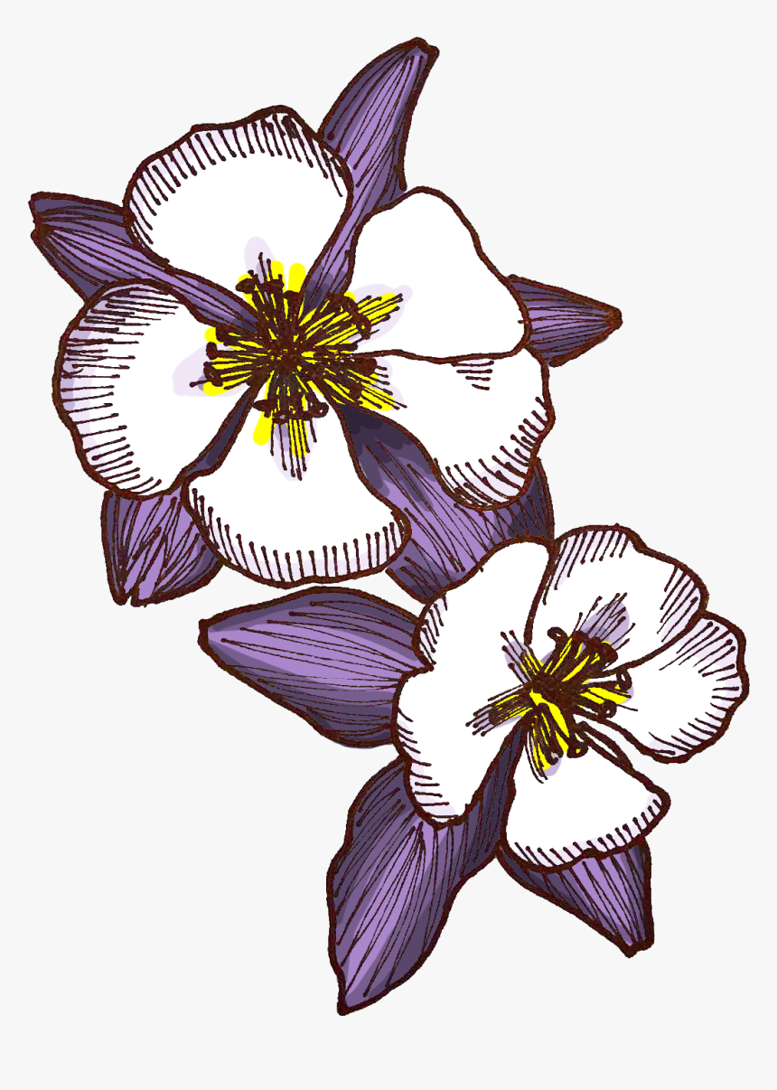 Morbid Curiosity Versus Fetishization Of Killers 
 - Iris, HD Png Download