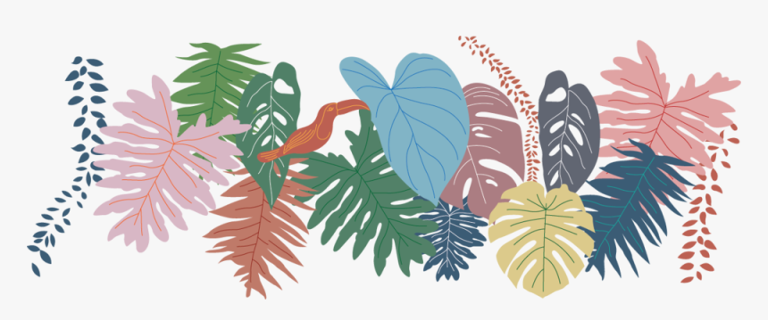 Asset 1 - Illustration, HD Png Download