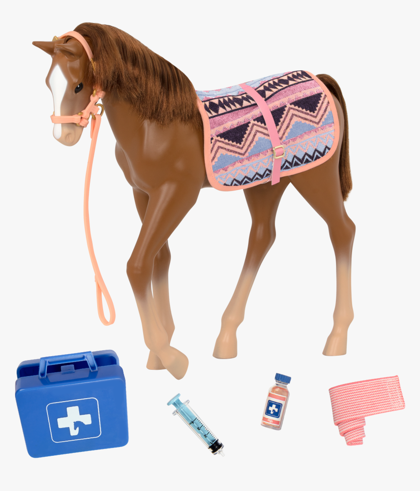 Foal, HD Png Download
