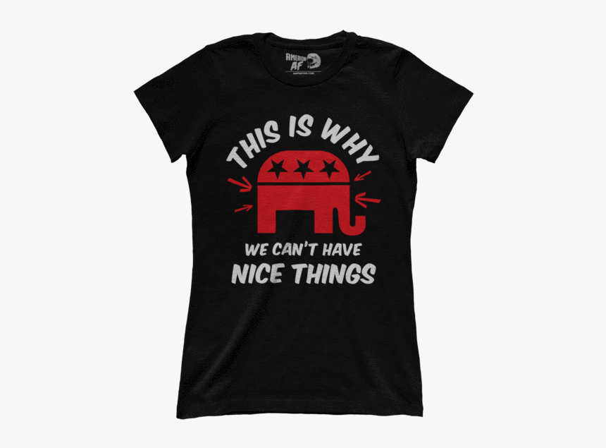 This Is Why We Can T Have Nice Things (ladies) - Certified Ethical Hacker T Shirt, HD Png Download