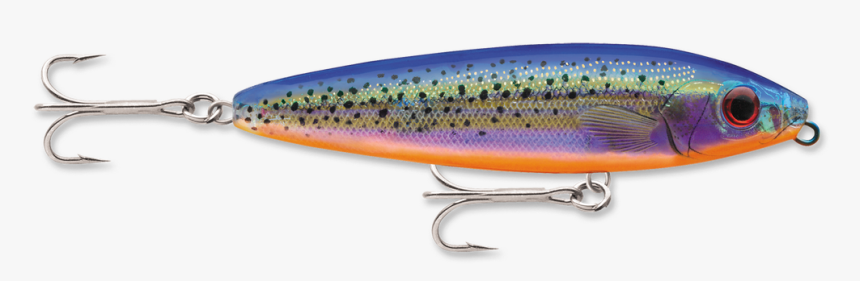 Trout, HD Png Download