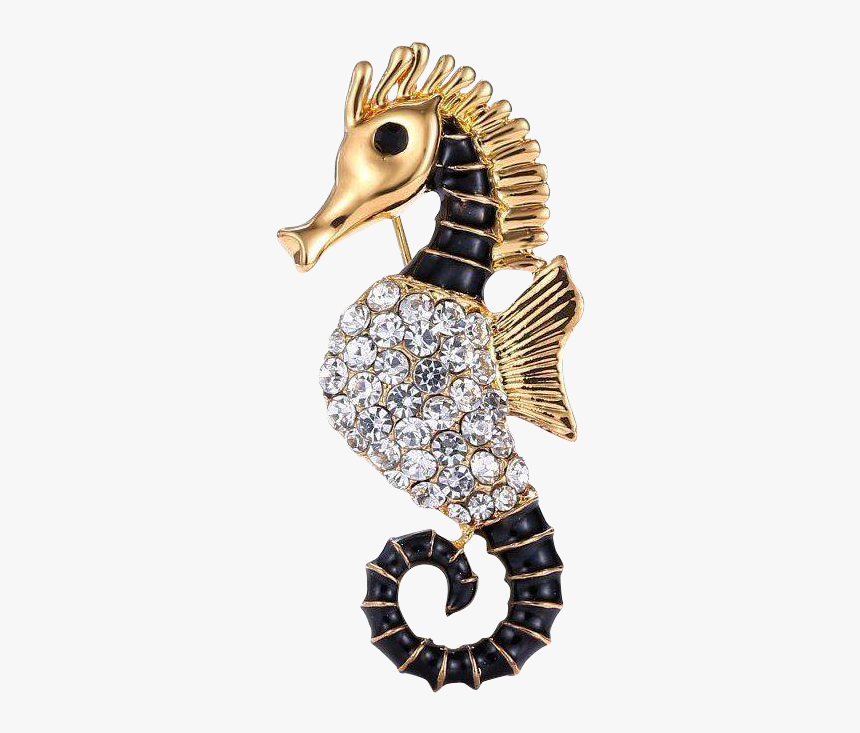 Northern Seahorse, HD Png Download