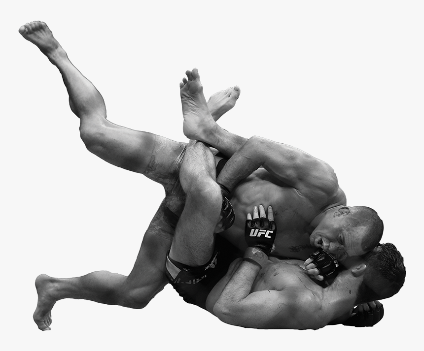 Freestyle Wrestling, HD Png Download