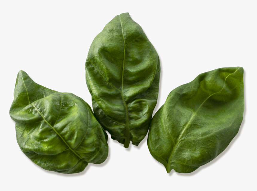 Spinach, HD Png Download