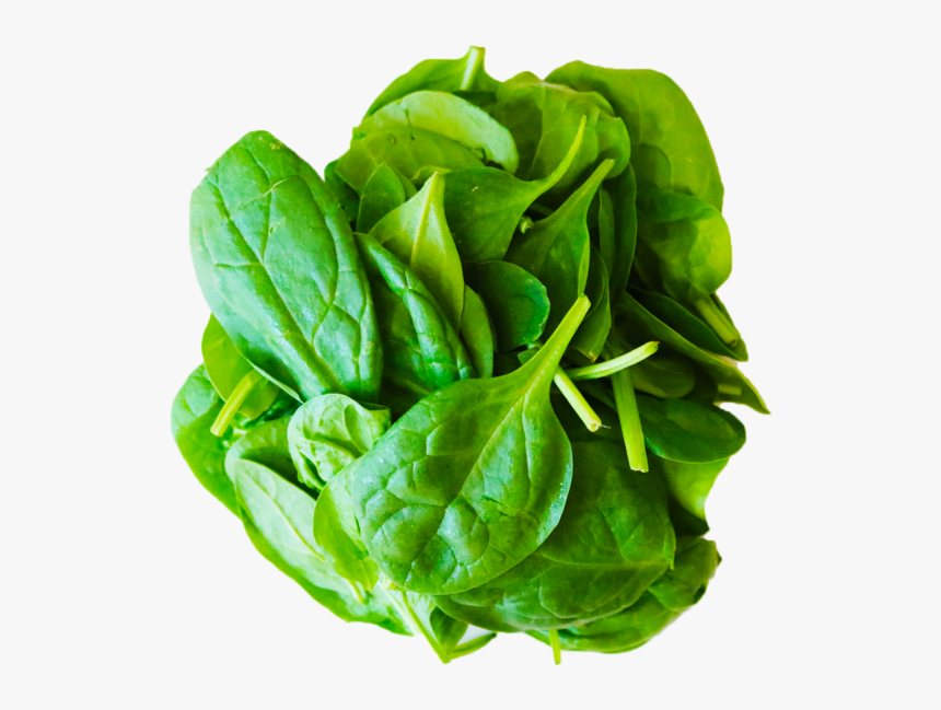 Spinach, HD Png Download