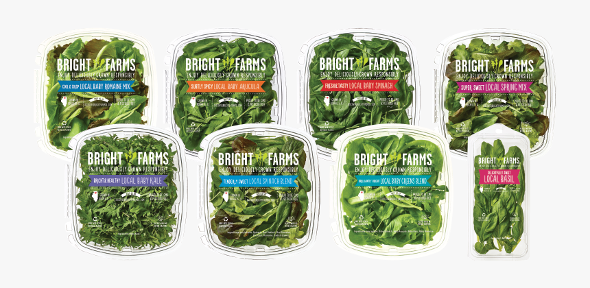 Snow Peas, HD Png Download