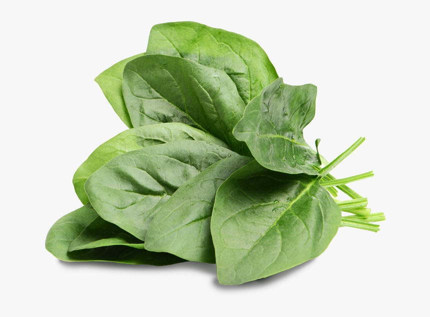 Spinach Rabbit, HD Png Download