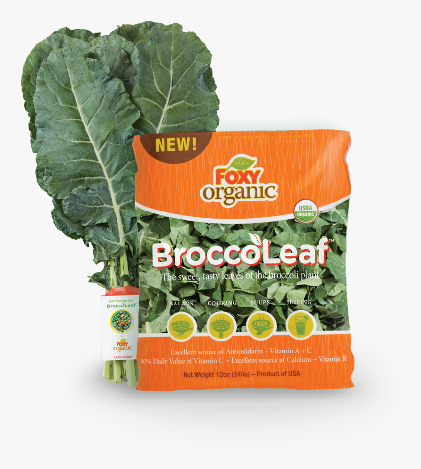 Foxy Organic Broccoleaf, HD Png Download