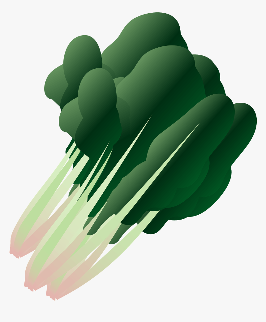 Broccoli, HD Png Download