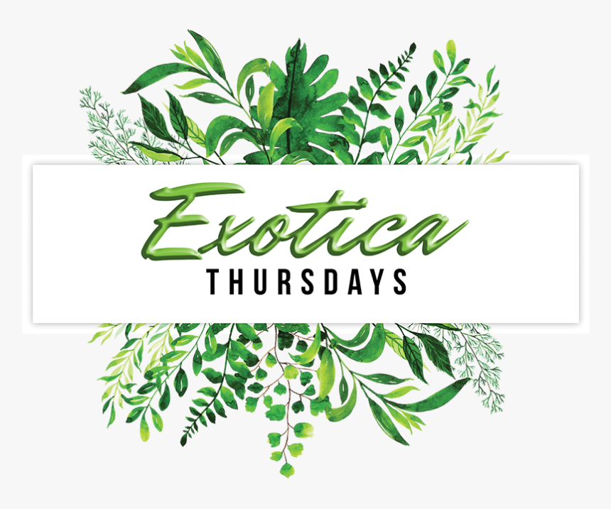 Watercolor Leaves Frame, HD Png Download