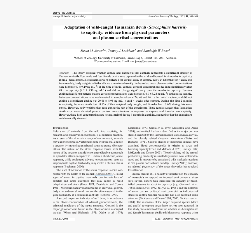 Document, HD Png Download