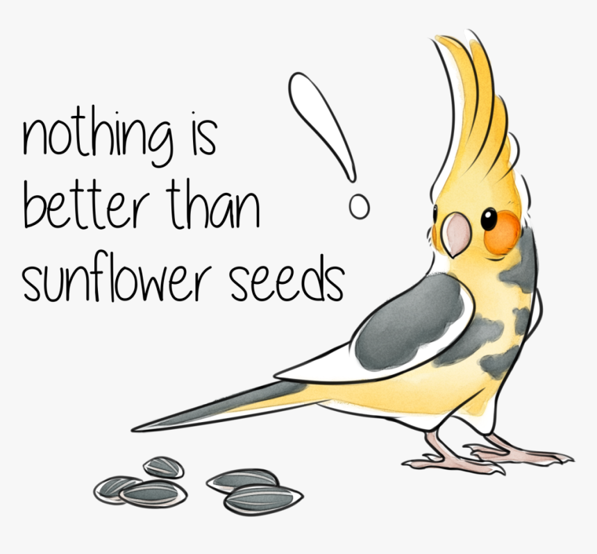 Cockatiel, HD Png Download