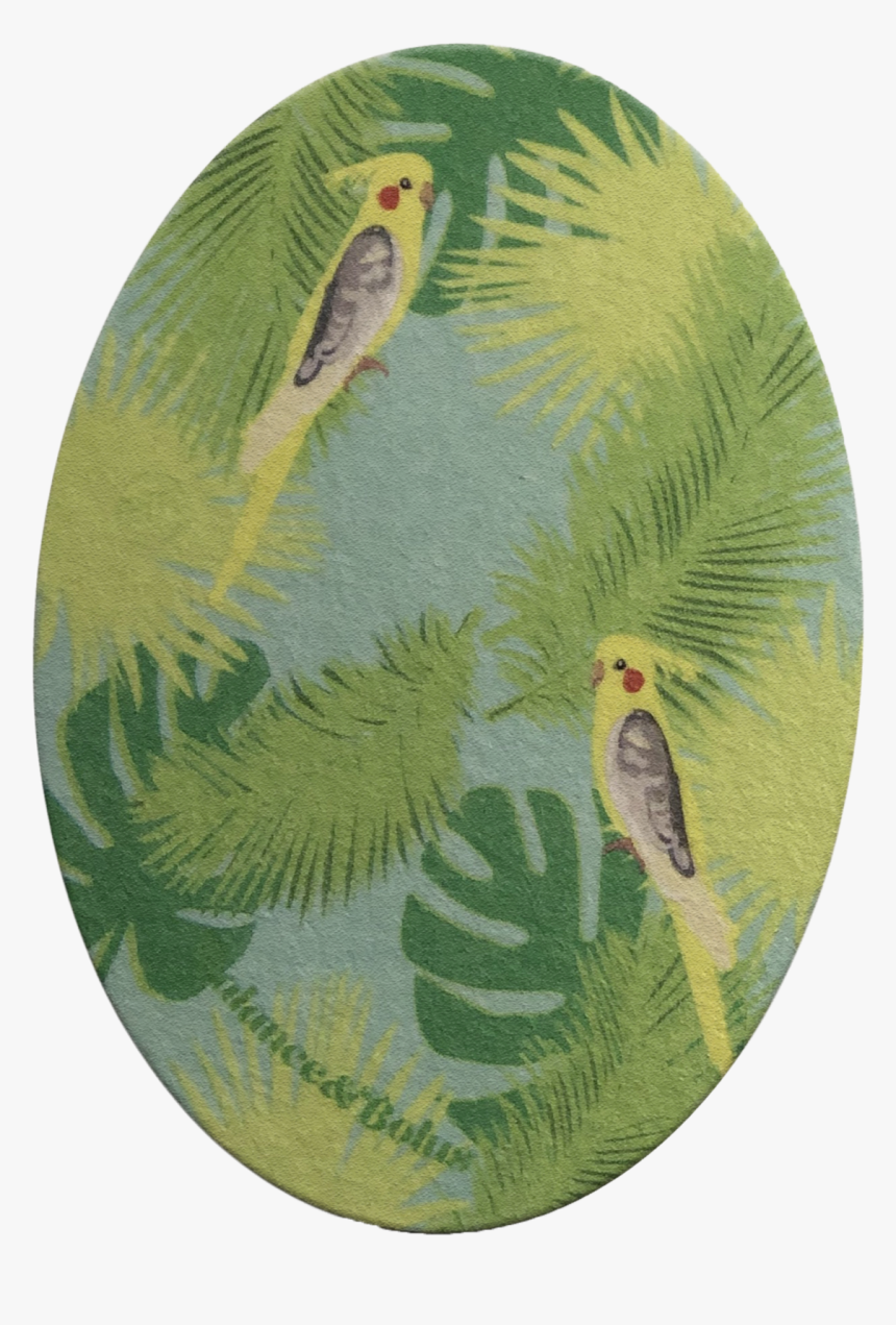 Expressionmed Dexcom G5 G6 Patch Sticker Adhesive Cute - Finch, HD Png Download