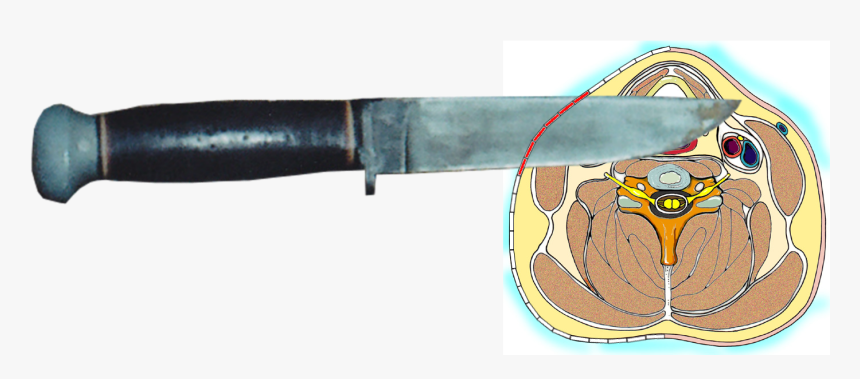 Bowie Knife, HD Png Download