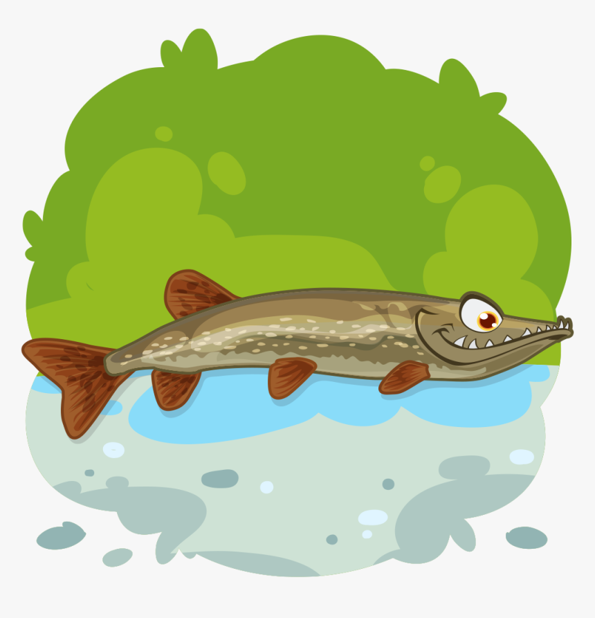 Sardina Animada Png, Transparent Png