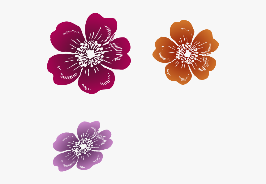 Three Wild Roses Clipart, HD Png Download