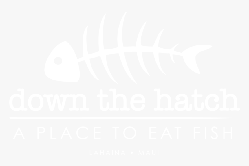 Dth White Logo - Johns Hopkins Logo White, HD Png Download