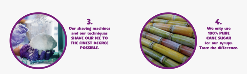 300slide 3 4 01 - Bamboo, HD Png Download