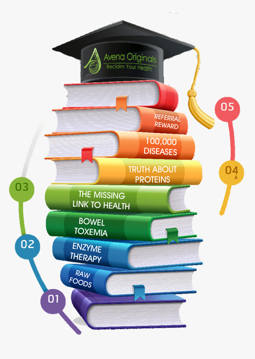 Education Infographics Template, HD Png Download