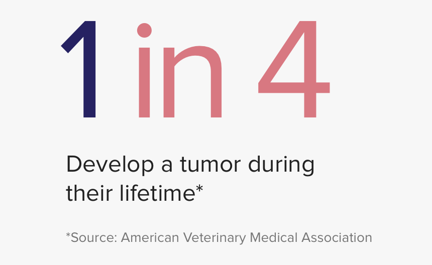 Insight-02 - Parallel, HD Png Download