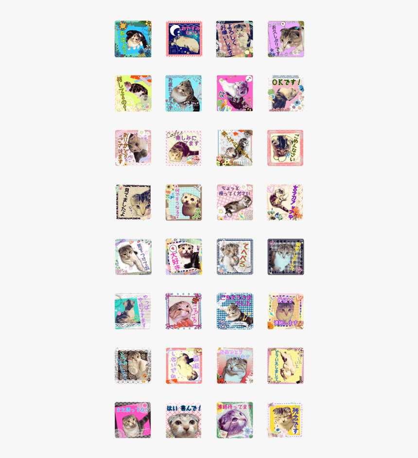 Calico Cat Momo - Cat, HD Png Download