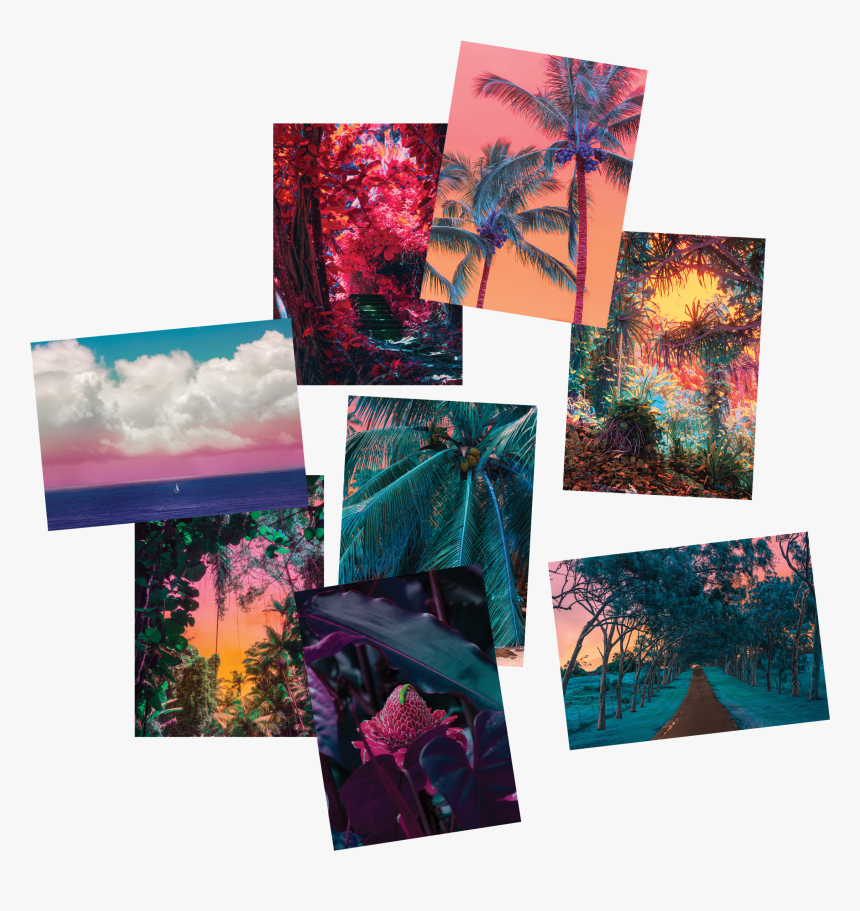 Image Of Hawaii Postcards Set - Floral Design, HD Png Download