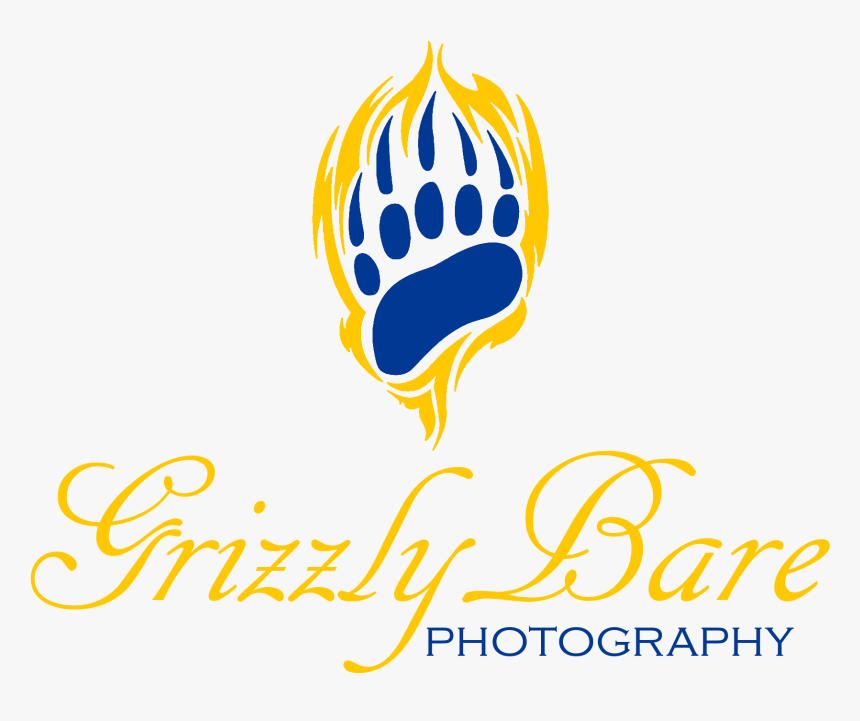 Graphic Design, HD Png Download