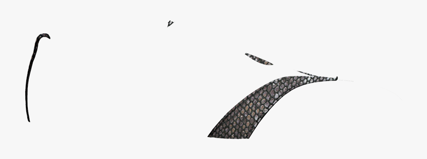 Loon, HD Png Download