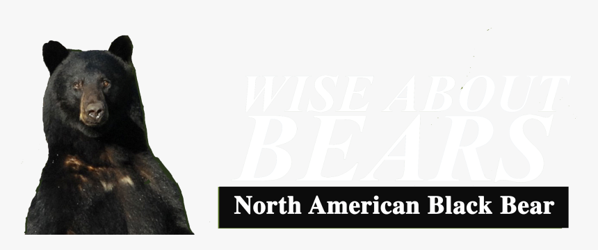 Bed Skirt, HD Png Download