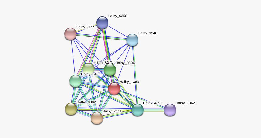 Halhy 1363 Protein - Circle, HD Png Download