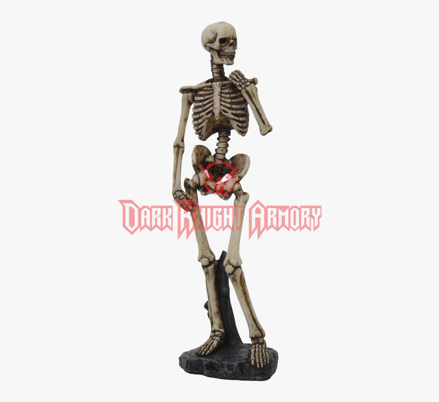 Skeleton Arms Png - Posed Skeleton, Transparent Png