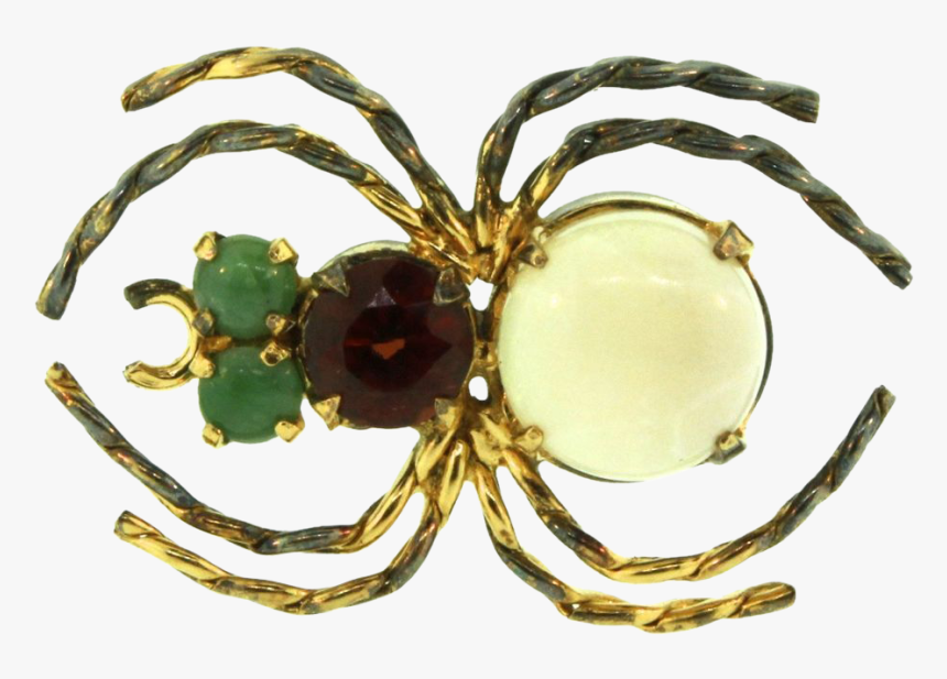 Insect, HD Png Download