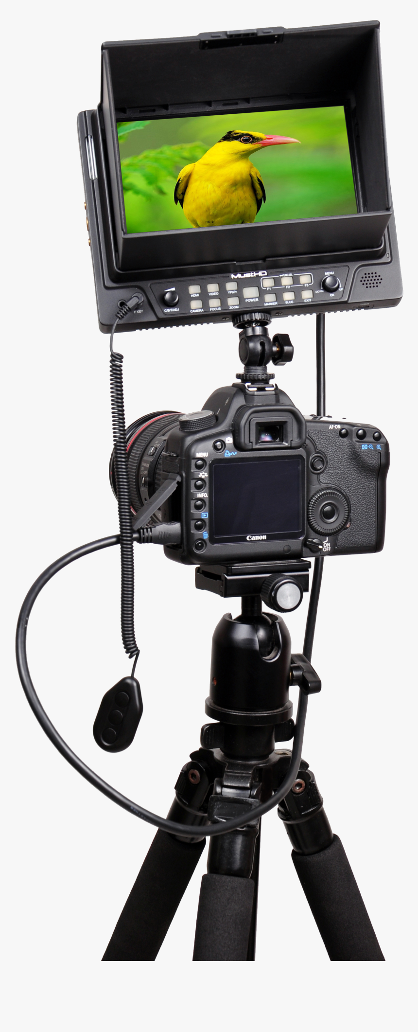 Camera On Tripod Png, Transparent Png