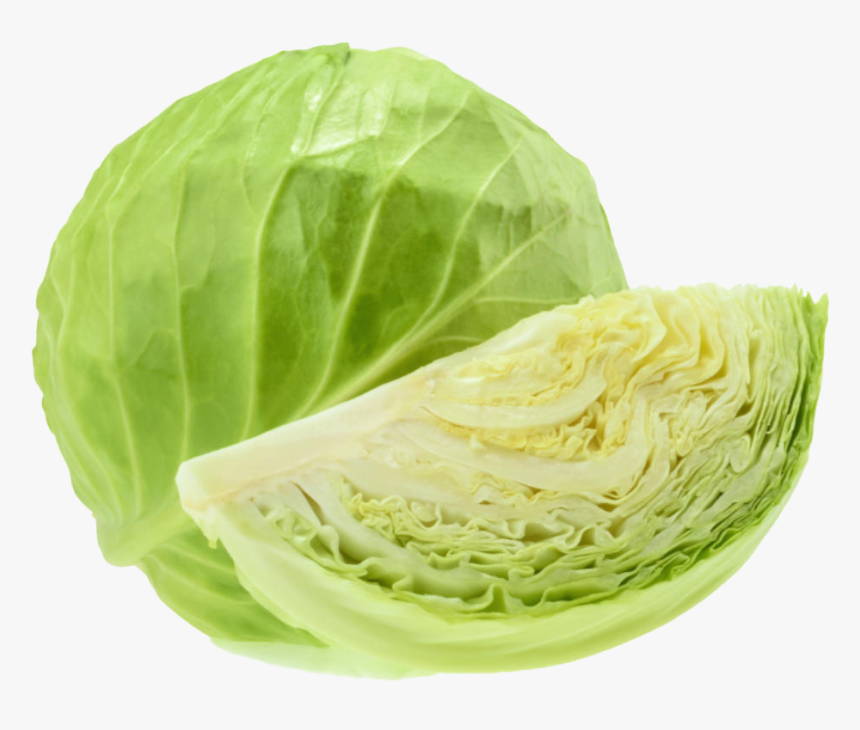 Green Cabbage, HD Png Download