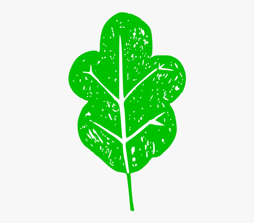 Plant,leaf,tree - Illustration, HD Png Download