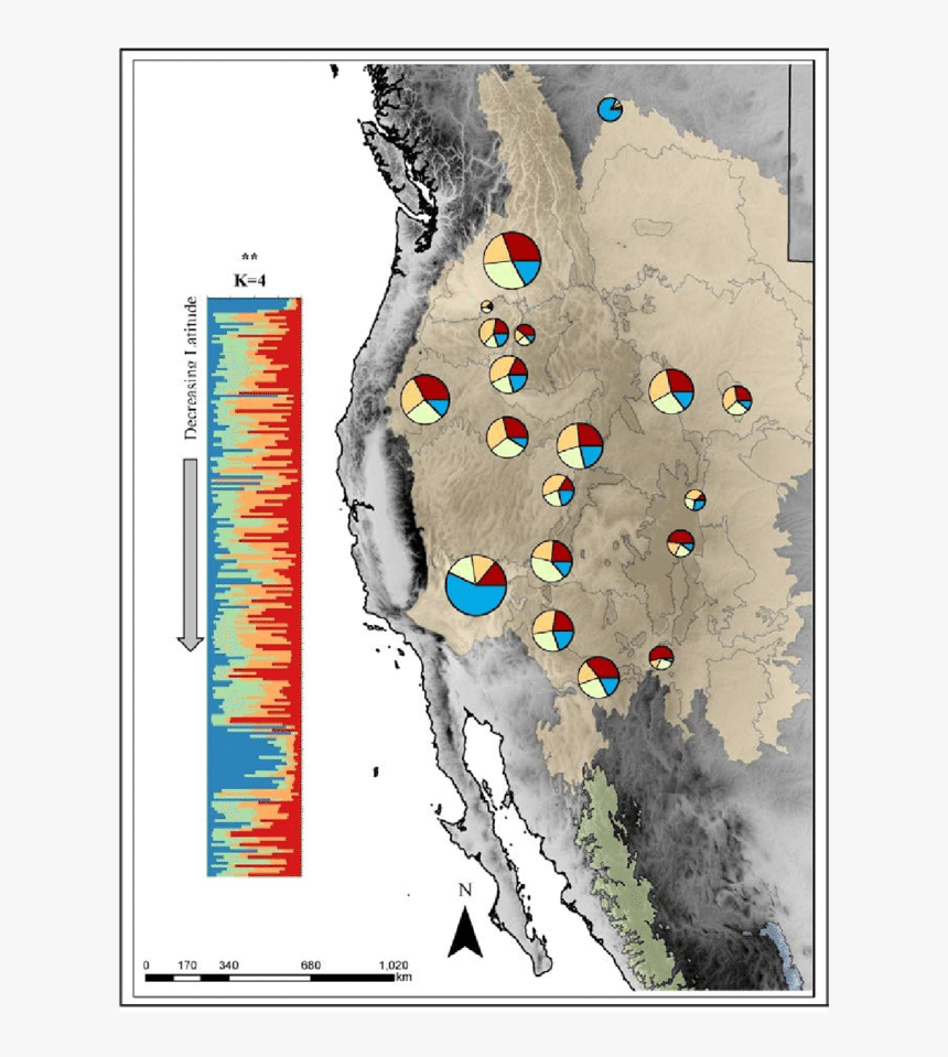 Map, HD Png Download