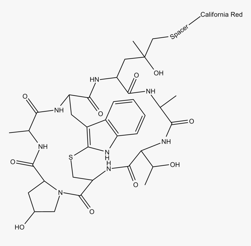 Line Art, HD Png Download