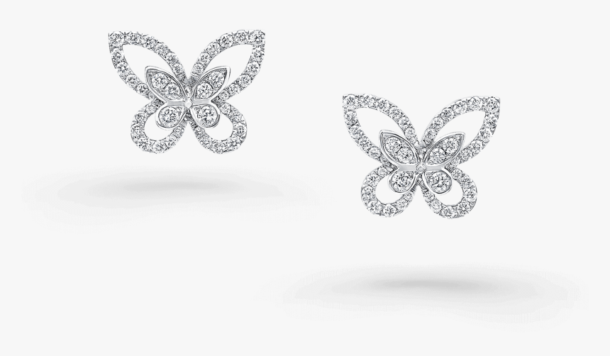 Pieridae, HD Png Download