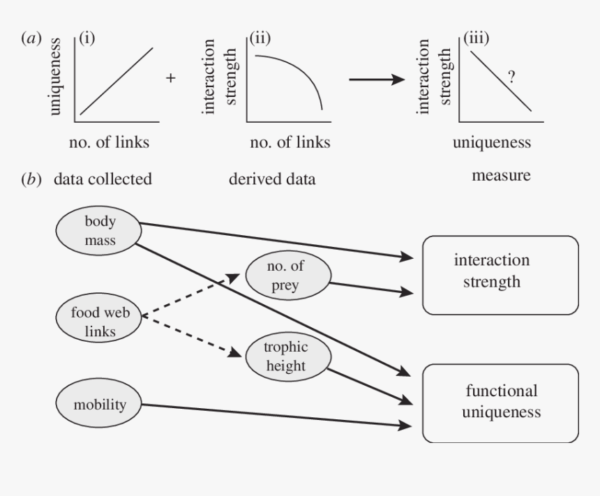 Diagram, HD Png Download