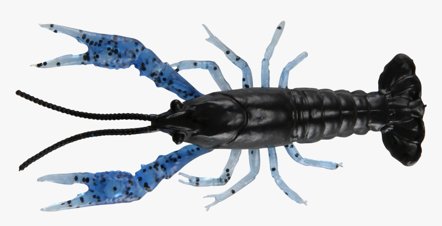 American Lobster, HD Png Download