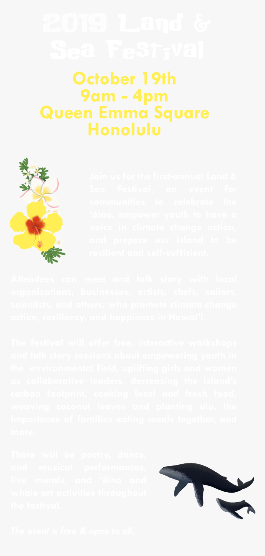 Website Text-01 - Great White Shark, HD Png Download