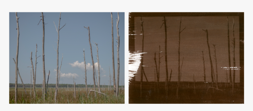 Ghost Forests3, HD Png Download