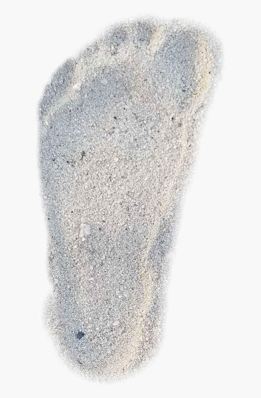 #footprint #sand - Tree, HD Png Download