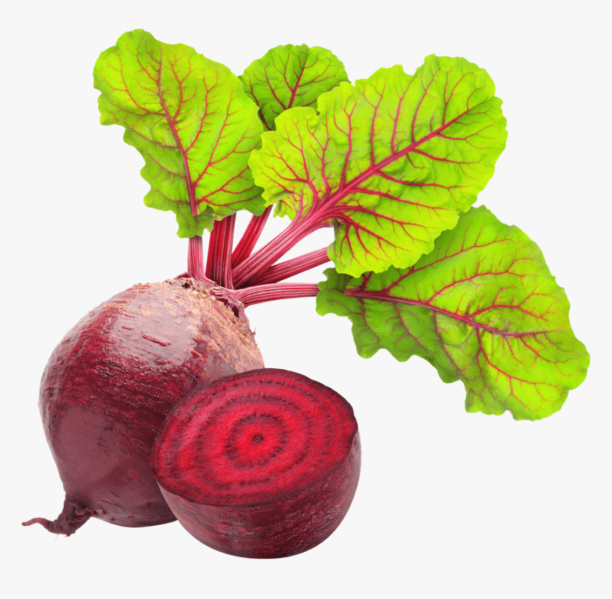 Beetroot - Beetroot Png, Transparent Png