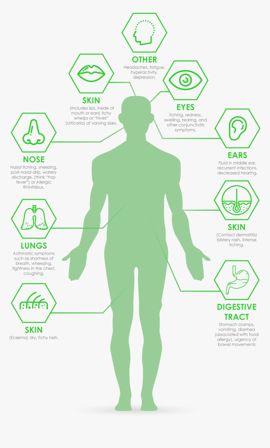 Traffic Sign, HD Png Download